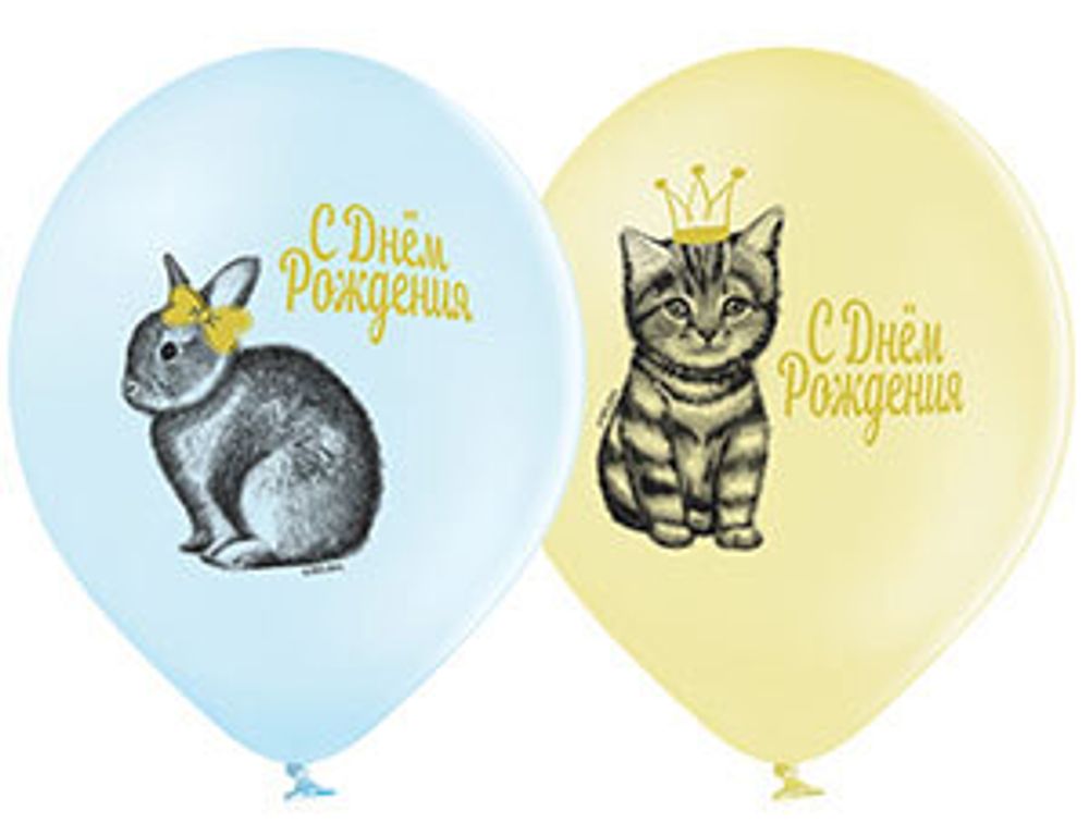 Шар (14"/36 см) С ДР Домаш питомцы 2цв 50 шт.