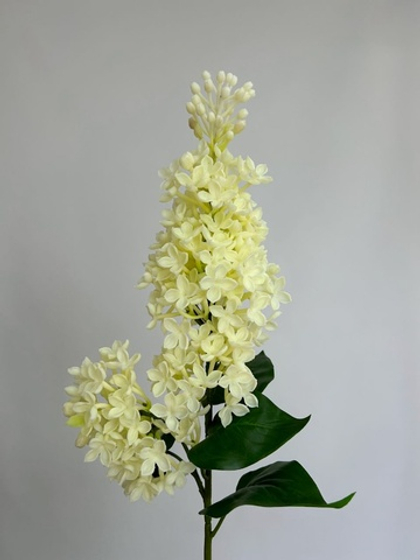 Сирень белая / Арт 2195