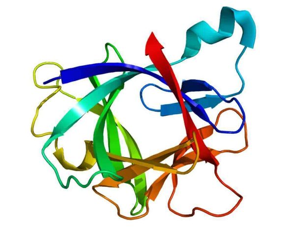 Открытие механизма «быстрой» инсулиновой реакции на пищу дает надежду всем диабетикам!