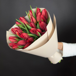 Bouquet of 25 red tulips