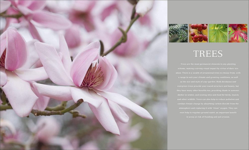 RHS Encyclopedia of plants and flowers