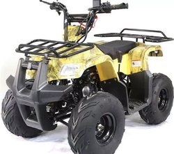 Квадроцикл MOTOLAND (МОТОЛЕНД) 110 RIDER