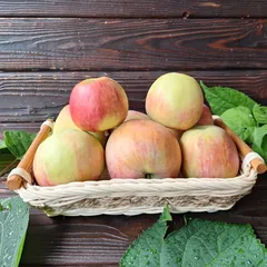 Яблоки Медовый хруст / 1 кг