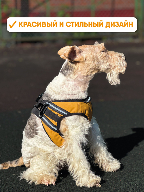 Шлейка для собак из софтшелла, горчичный, размер М