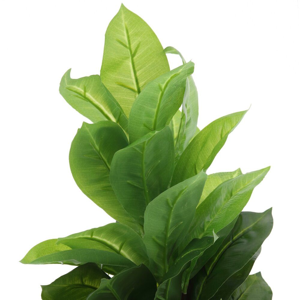 GAEM Цветочная композиция "Фикус", L25 W25 H73 см