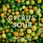 LAGOM Main - Citrus Sour (40g)