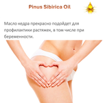 Масло кедрового ореха / Pinus Sibirica Oil