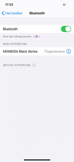 Black Box Pico