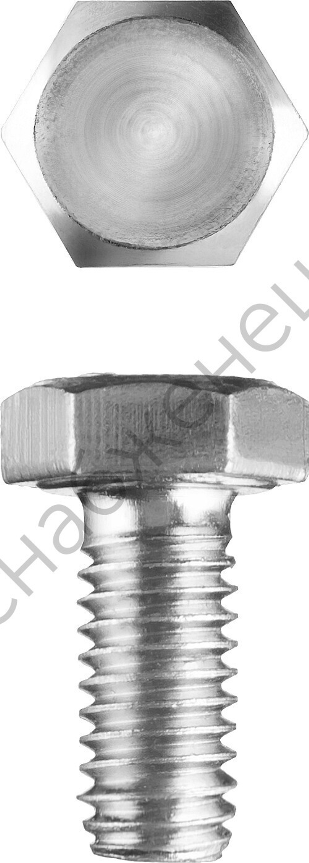 ЗУБР ГОСТ 7798-70 кл. пр. 5.8, M5 x 10 мм, болт оцинкованный, 5 кг (303080-05-010)