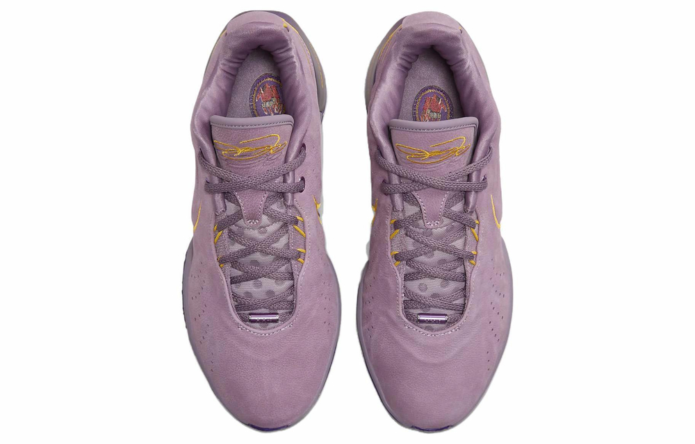 Кроссовки Nike Lebron 21 "Purple Rain" Ep