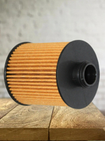 Фильтр масляный (картридж) 1017110XEN01 для Haval Dargo