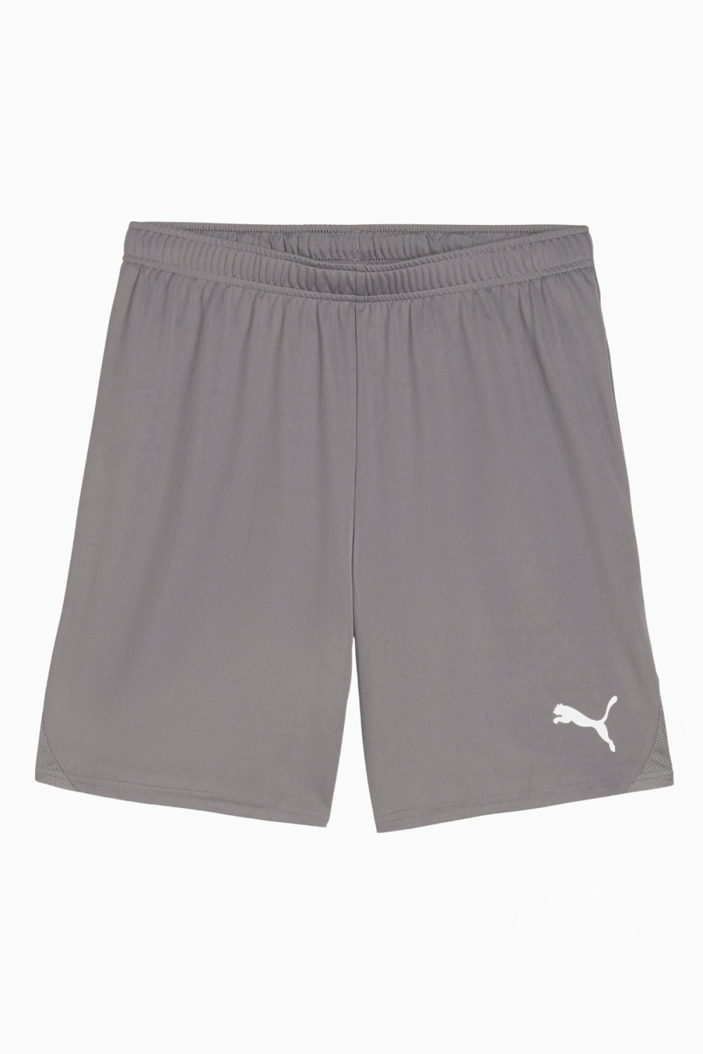 Шорты Puma teamGOAL - серый