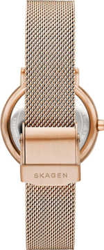 Женские наручные часы Skagen SKW2837