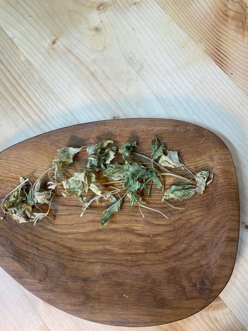 Сельдерей листовой сушёный