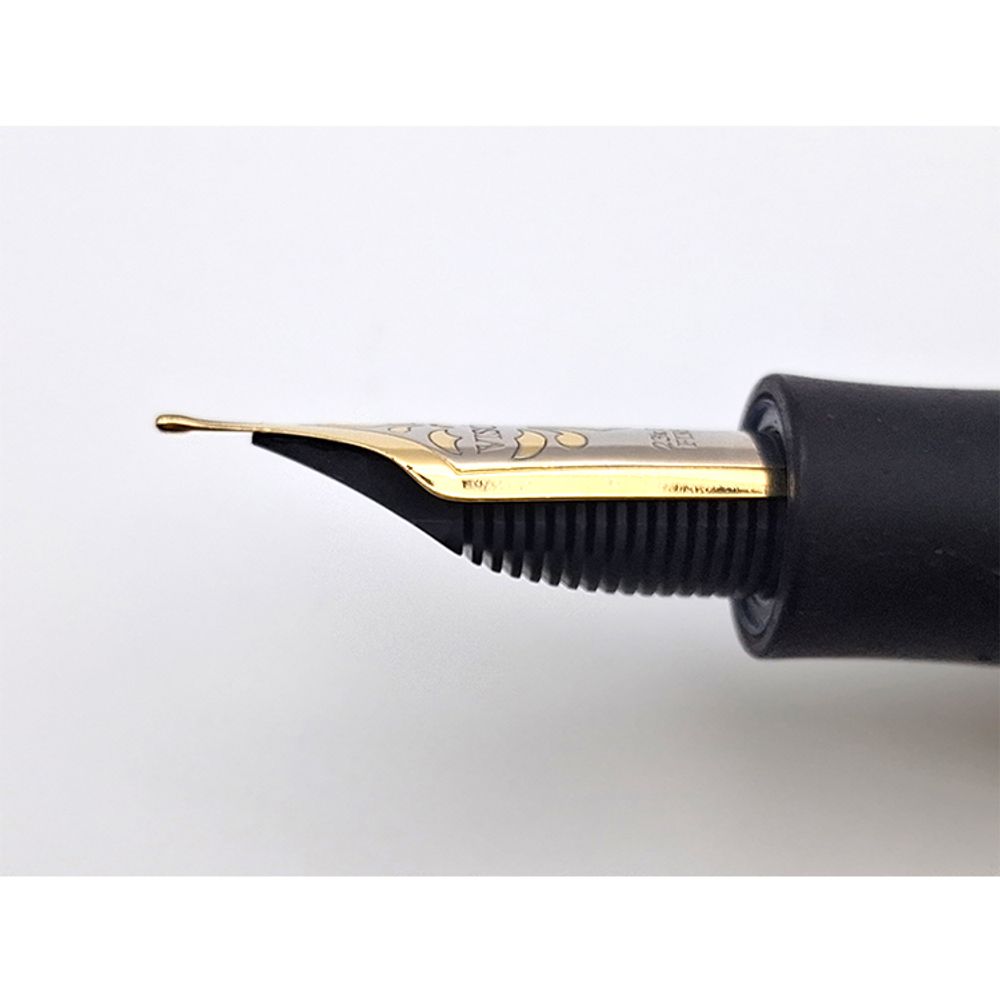 Перьевая ручка VIisconti Homo Sapiens Bronze (KP15-07-FPF) 6