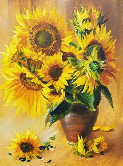 Подсолнухи