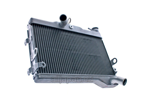 1WS-12461-00-00 RADIATOR ASSY, WATER