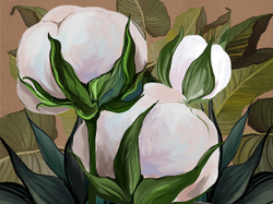 Коллекция SOLO