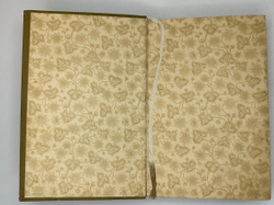 Платен М. Новый способ лечения. Лечение целебными силами природы. — Берлин: Изд. Просвещение, 1901