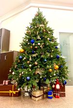 Искусственная ель «Монтерей» (Литая хвоя) от 1.5 до 2.4 м