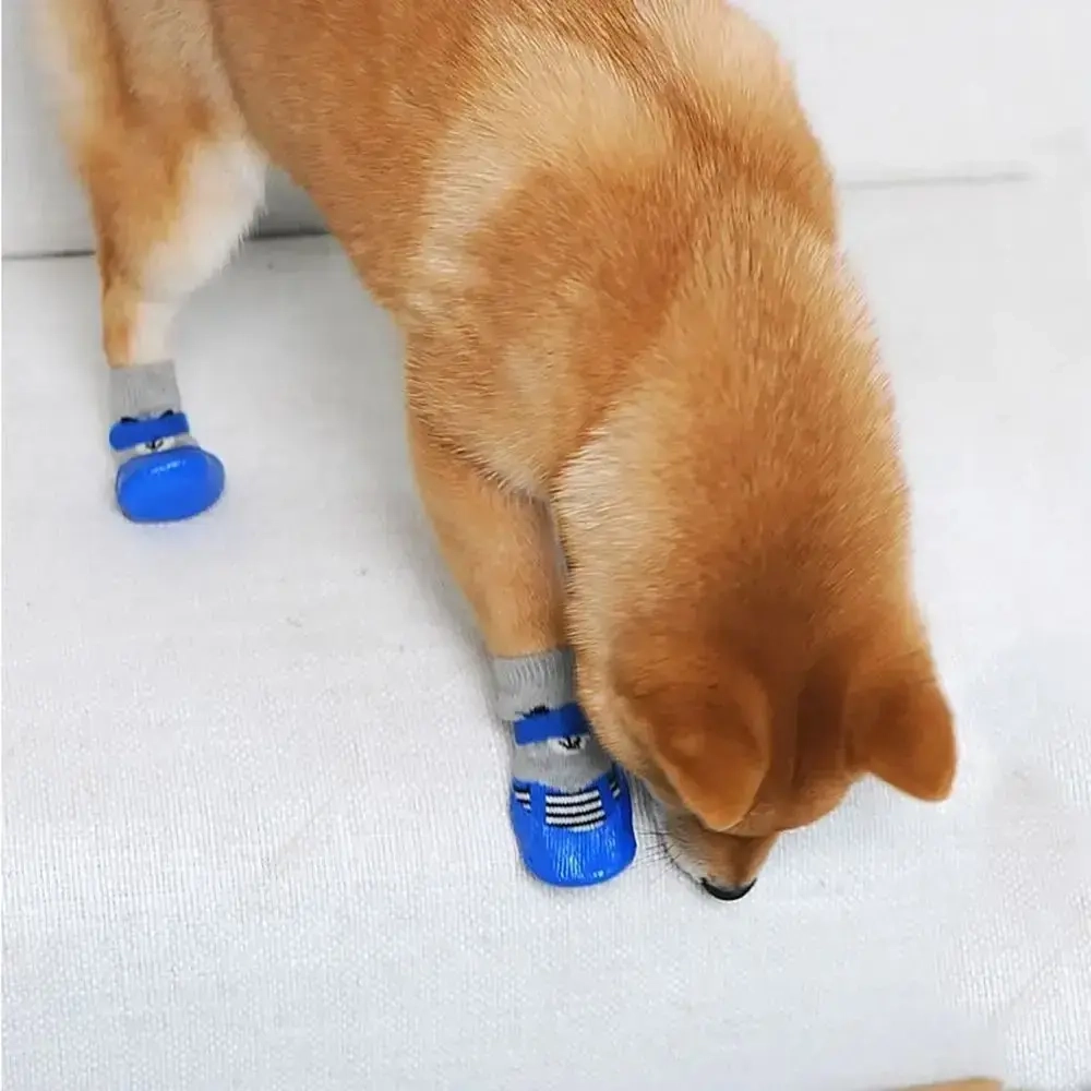 Башмачки для животных прорезиненные на дождливую погоду «LAPUSIK», цвет голубой, размер М, 5,5см