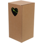 Цветочная композиция «Розовый восторг» 28см в горшке, цвет бордовый