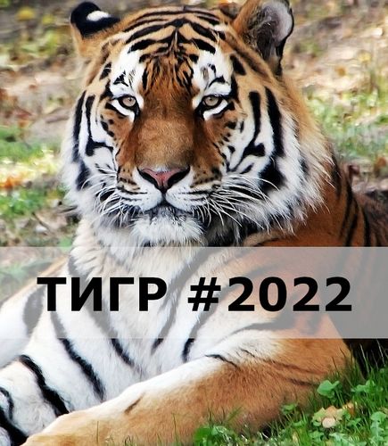 Подарки с изображением Тигра