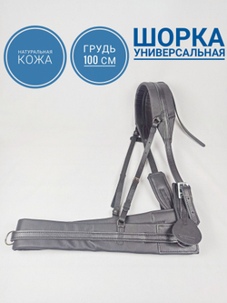 Шорка кожаная для лошади под евро-упряжь 100, черный