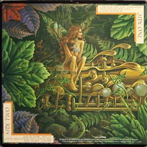 Spyro Gyra / Catching The Sun (LP)