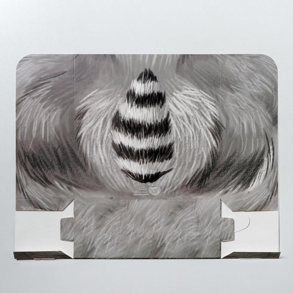 Коробка складная «Енотик», 25 × 25 × 10 см