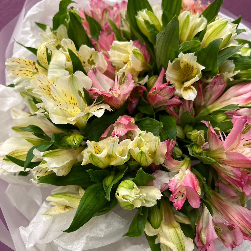 Букет "Моно альстромерий" #64
