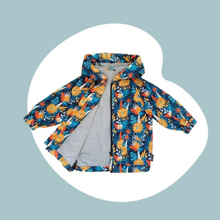 Ветровка (львы)