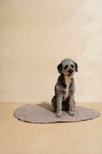 Тревел-Коврик "Пони-Роллони"