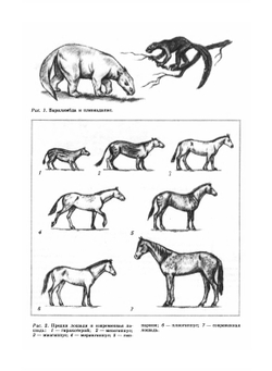 Седлайте коней!. Знай и умей | П.В. Боярский