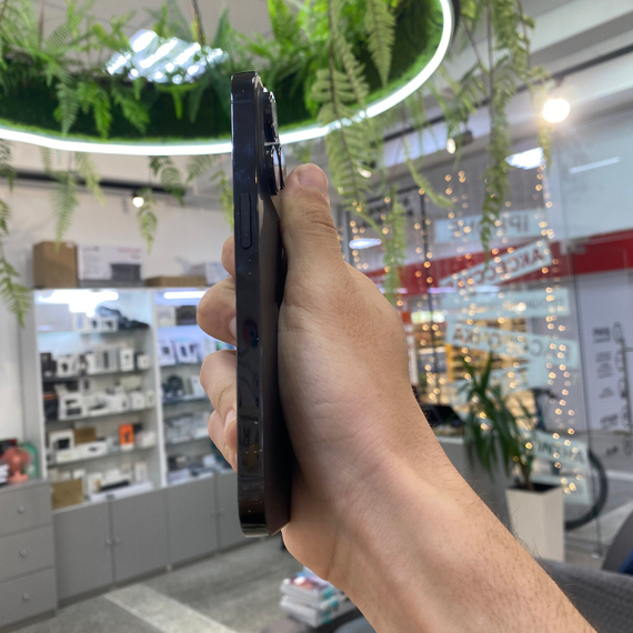 Apple iPhone 15 Pro Max 256Gb