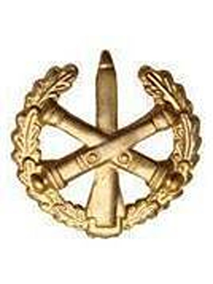 Эмблема петличная РВиА старого образца металл золото