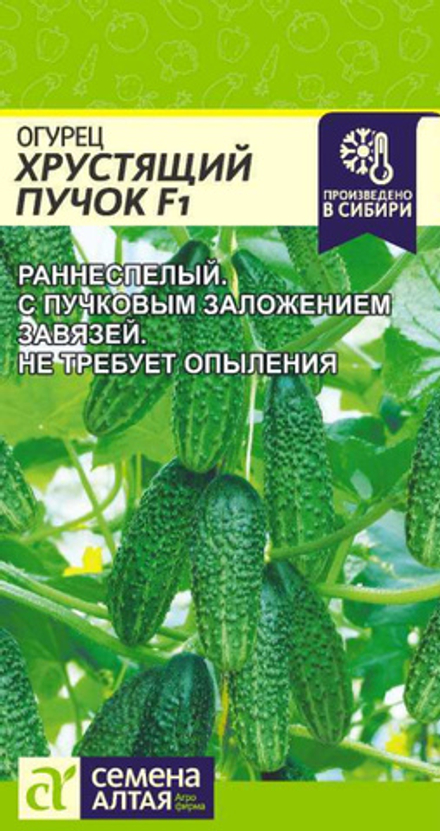 Огурец ХРУСТЯЩИЙ ПУЧОК F1 цв.пак. 5 шт. Семена Алтая