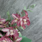 Букет из орхидей «Секрет гейши черри‎»