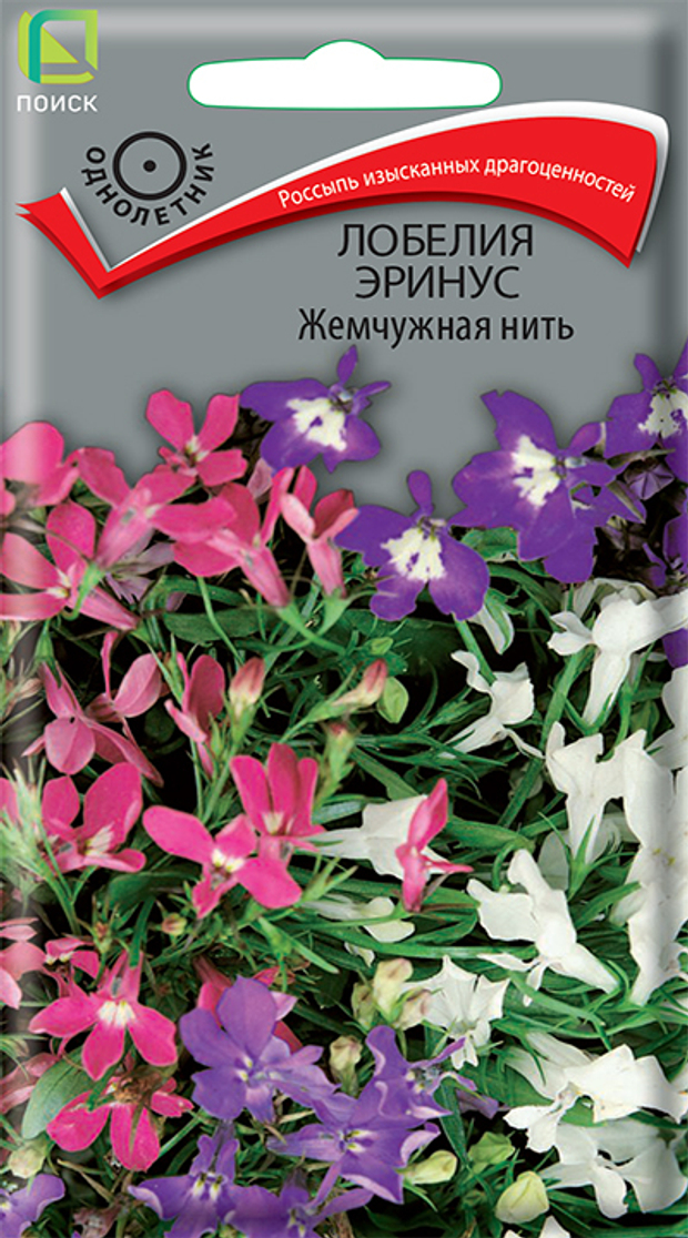 Лобелия эринус Жемчужная нить