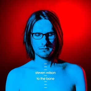 Steven Wilson / To The Bone (Coloured Vinyl)(2LP)