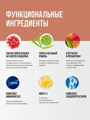 Корм сухой BOWL WOW для взрослых собак мелких пород с ягненком, индейкой, рисом и добавлением тыквы
