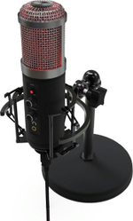 Микрофон Ritmix RDM-260 черный