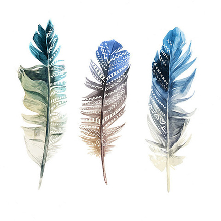 "Перья", фотокартина (репродукция)