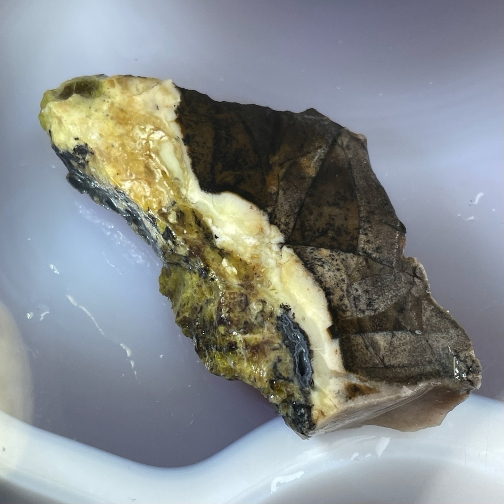 52867  Агат Срез 63мм