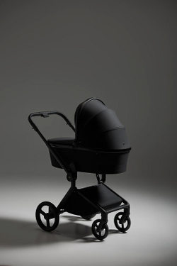 Детская коляска Anex Flo 2 в 1 Lungo