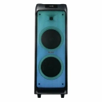 Музыкальная система Midi Denn Partybooster FORT DPS355 (h)