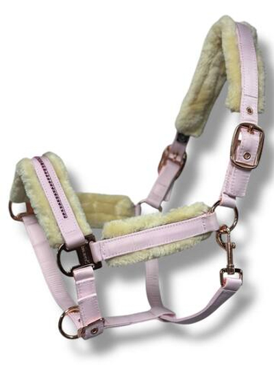 Недоуздок TGW