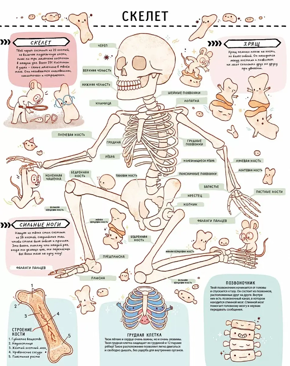 Книга с секретами. Секреты тела человека