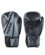 Перчатки боксерские ARES, кожа, черный, 10 oz