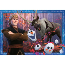 Ravensburger - Холодное сердце Frozen Frozen Puzzle 2 2 x 24 детали 050109